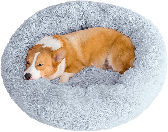 dog bed, christmas gifts for dogs