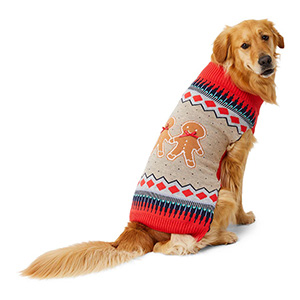 dog in christmas jumper christmas gifts for dogs