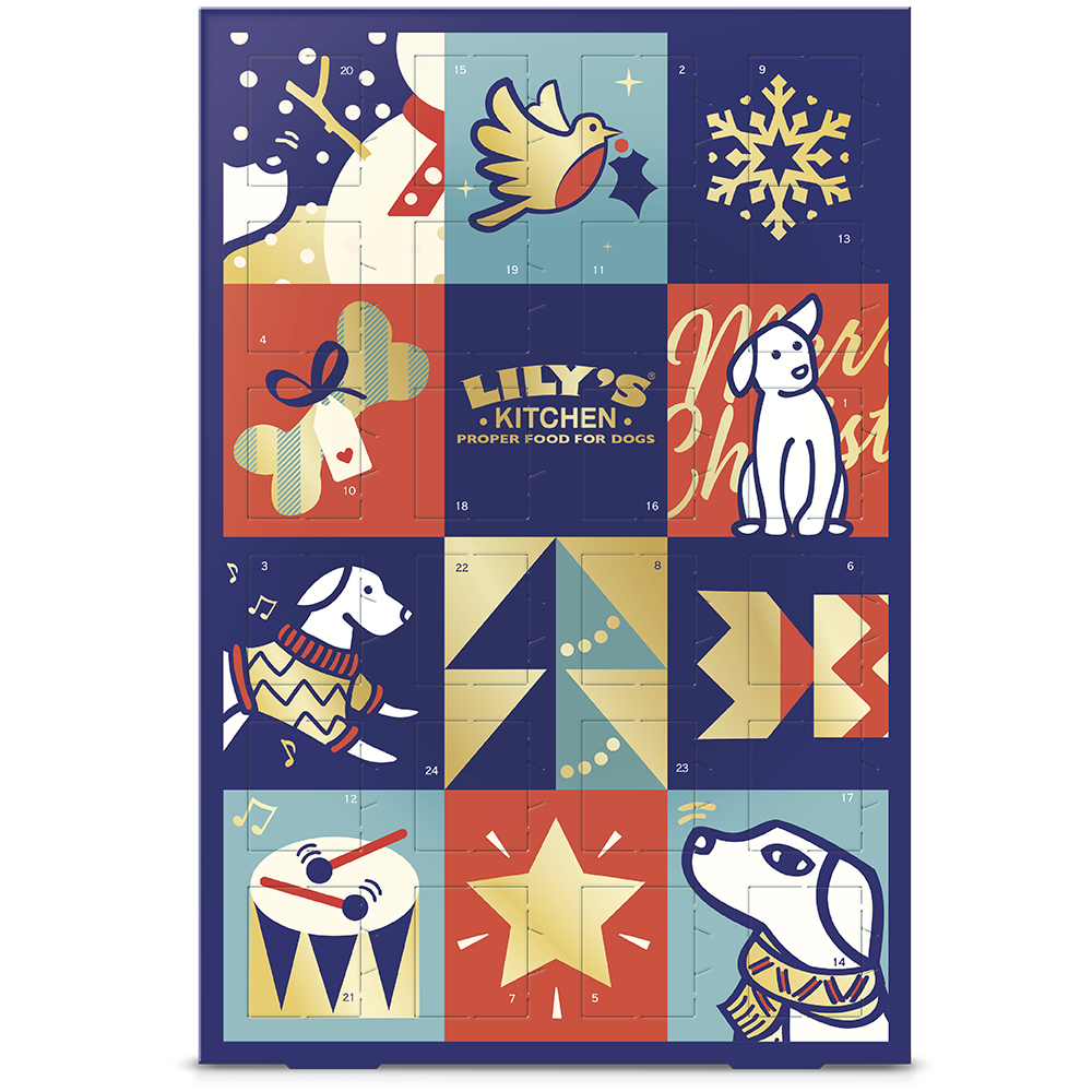 dog advent calendar, christmas gifts for dogs