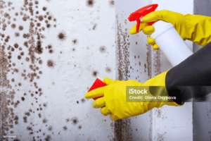 Professional Cleaning