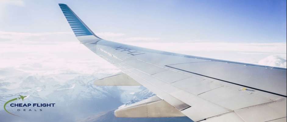 Flight Deals