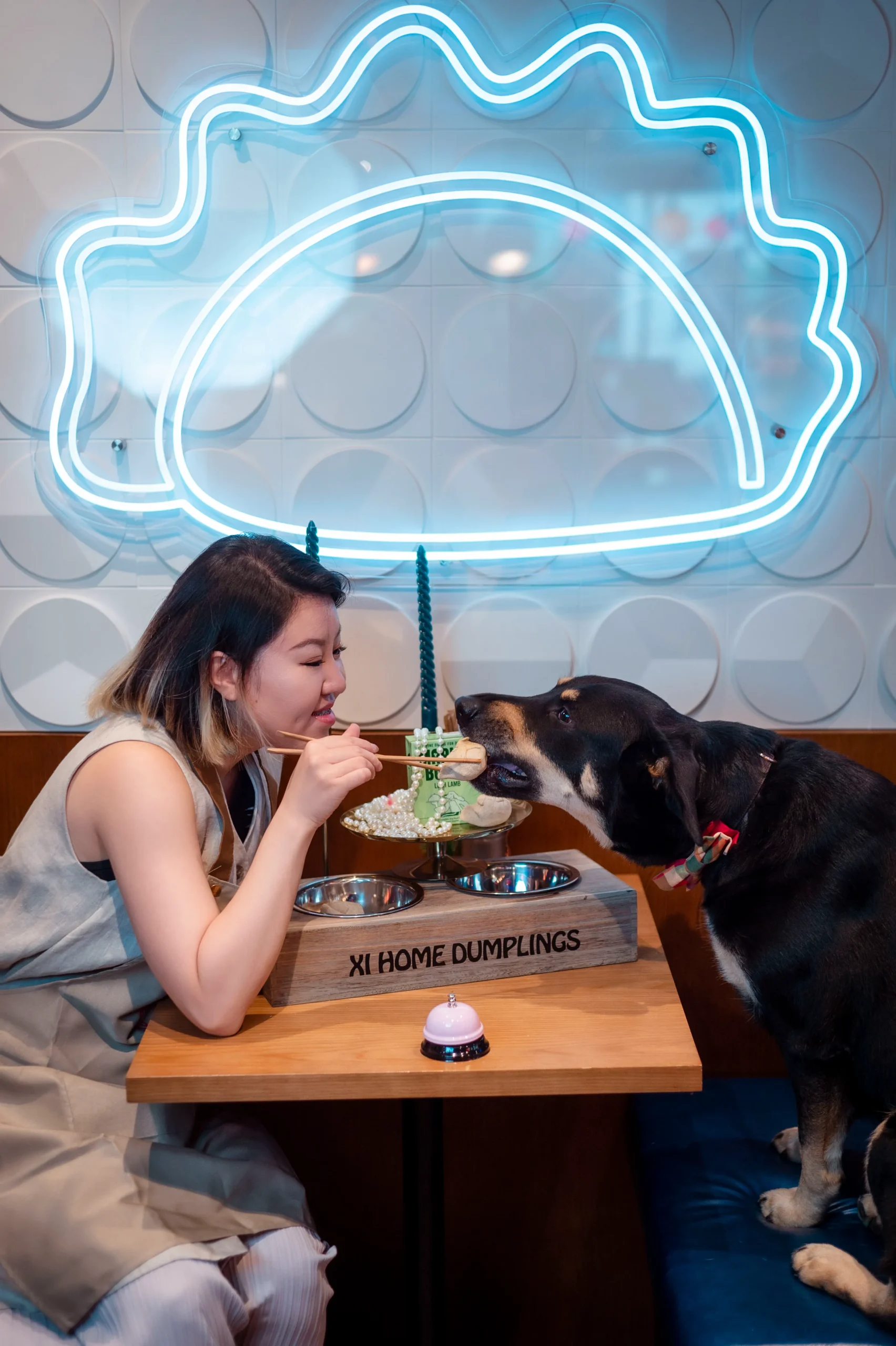 National Dog Day, Doggy dumplings at Xi Home