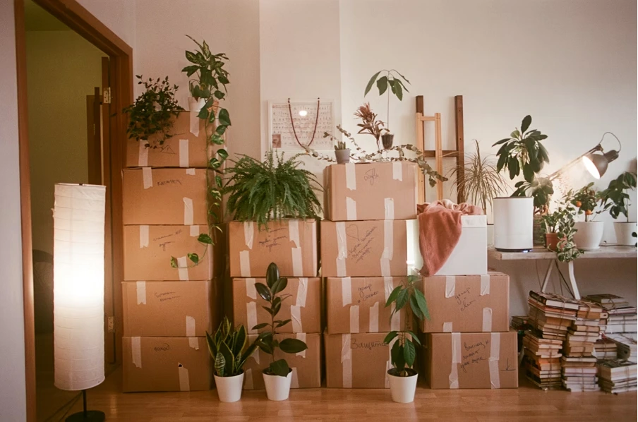 Moving to Southampton