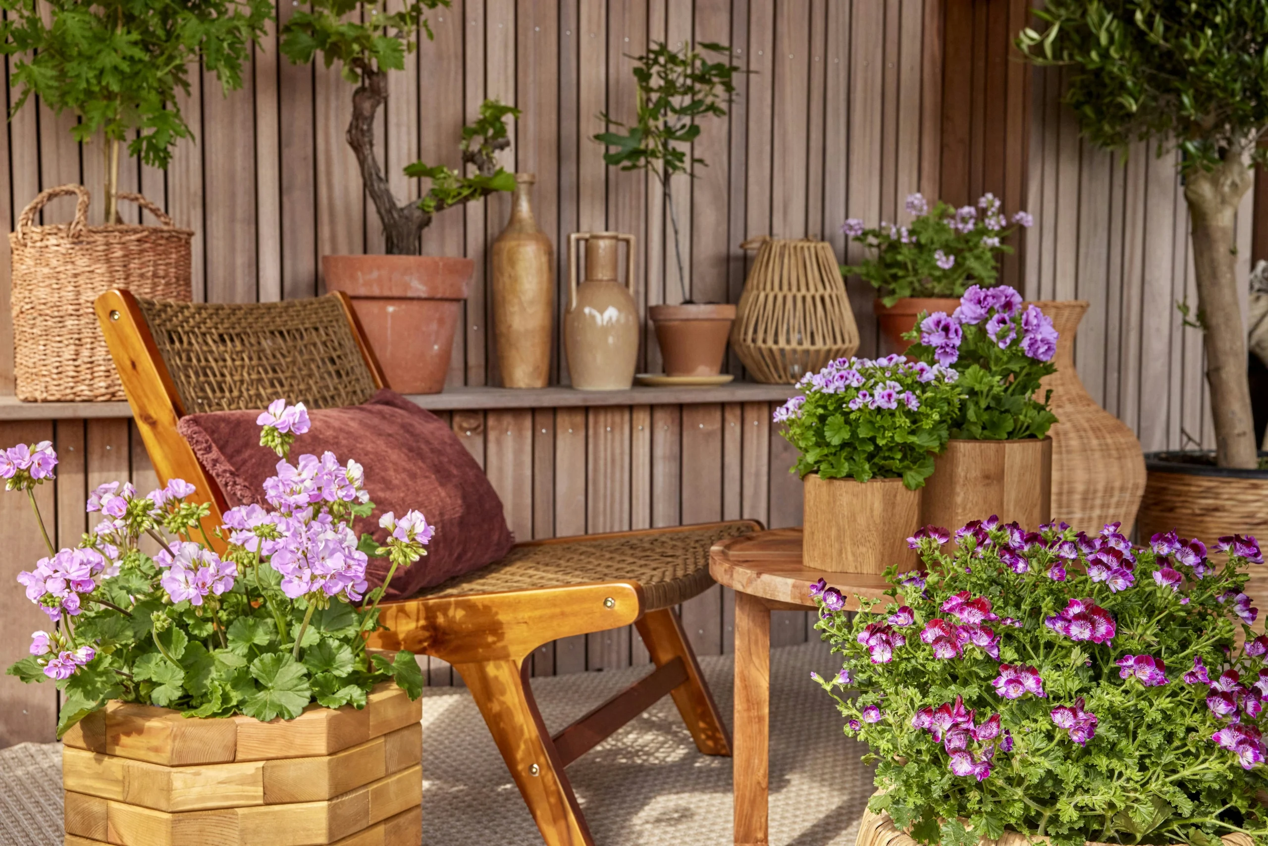 Garden Rooms