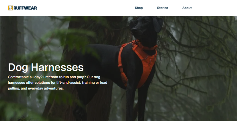 Best Dog Leash Brands 