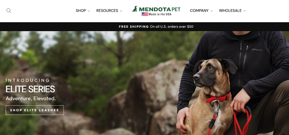 Best Dog Leash Brands 
