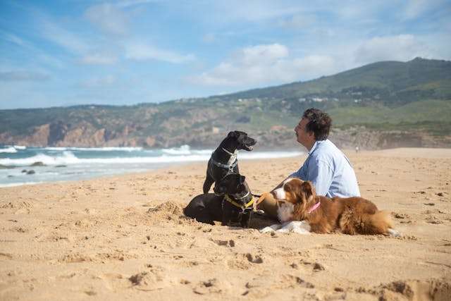 Traveling With Your Dog