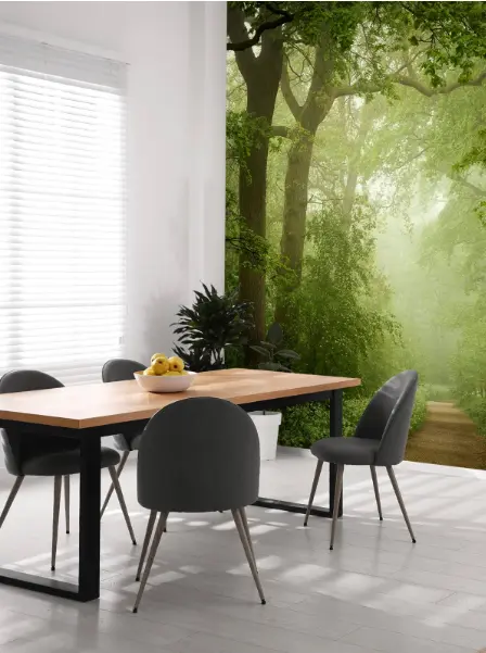 Misty Forest Path