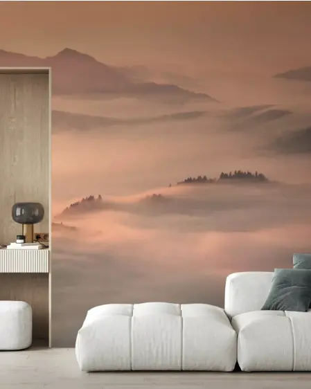 Foggy Valley Landscape