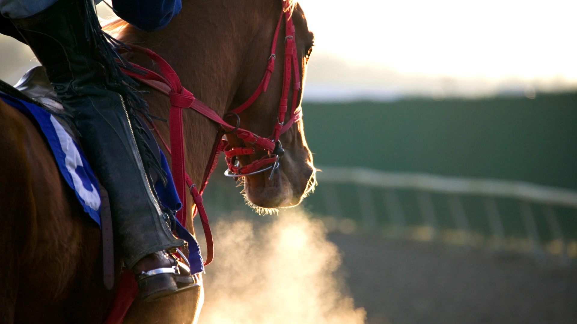 Horse Racing