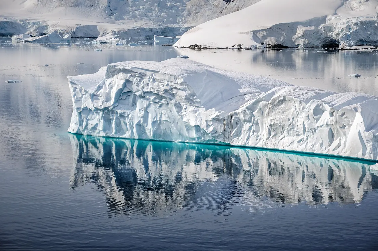 Experiences to Have in Antarctica
