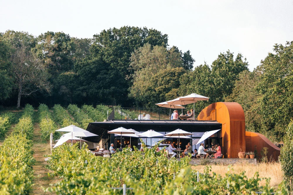 Wraxall vineyard