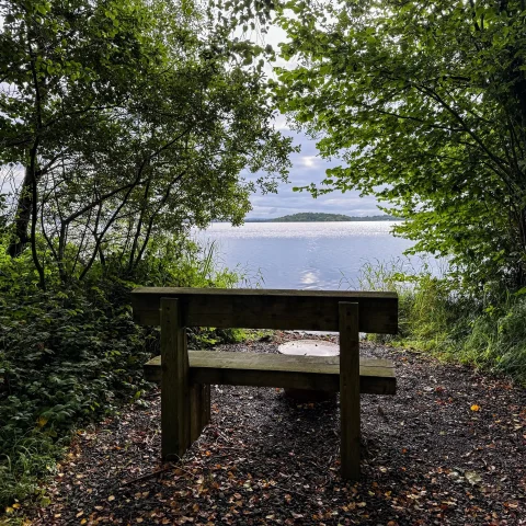 A bench at a scenic viewpoint at Finn Lough