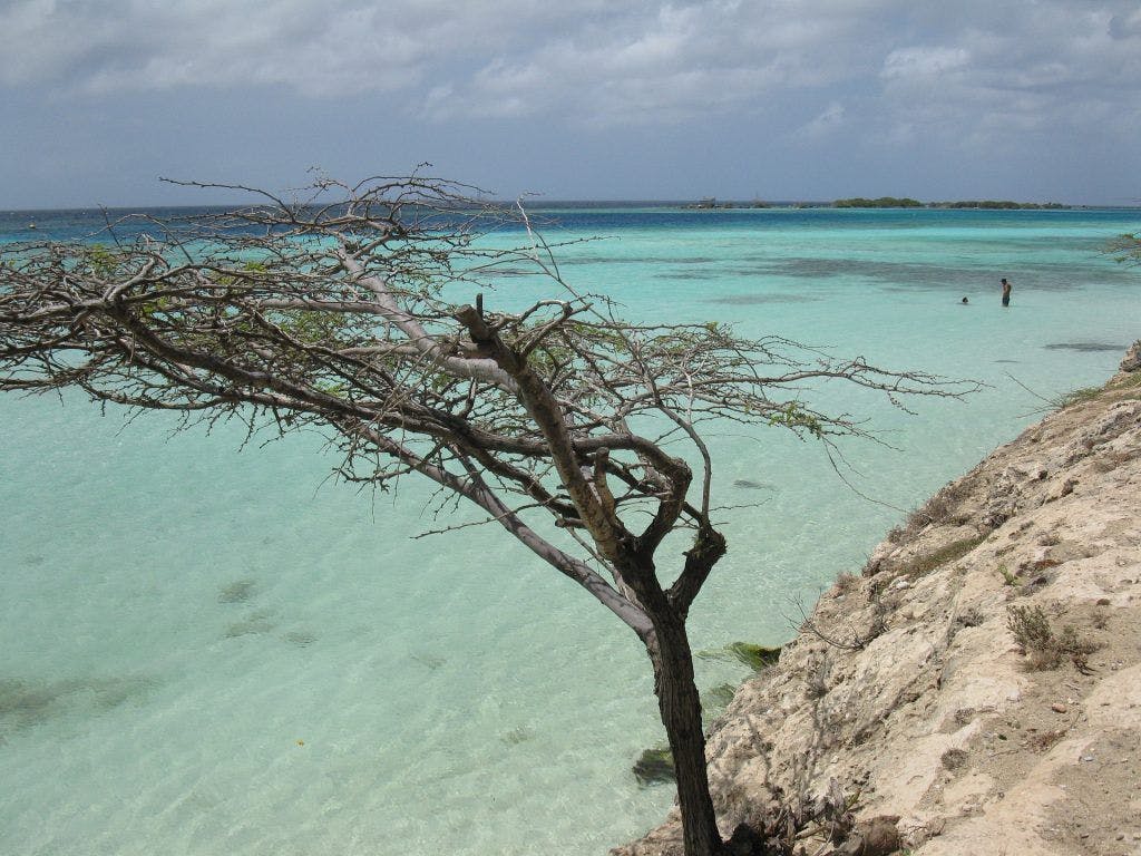 the Island of Alternative Aruba